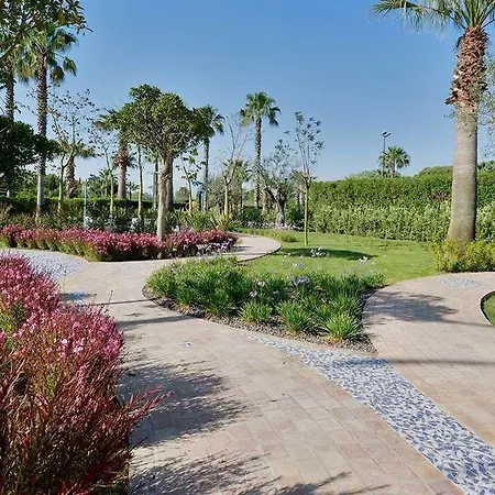 Savoy & - Preferred & Paestum