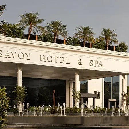 Savoy & - Preferred &
