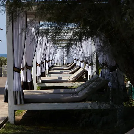 Savoy & - Preferred & Paestum