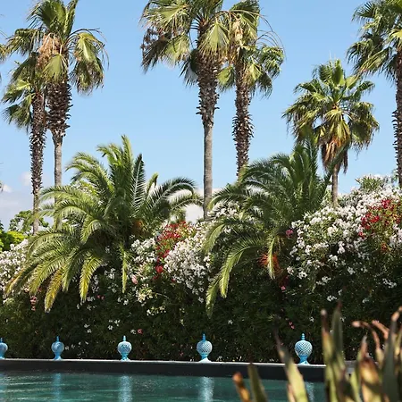 Savoy & - Preferred & Paestum