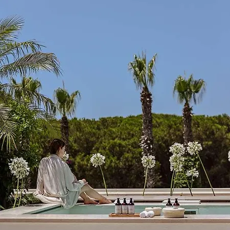 Savoy & - Preferred & 5*