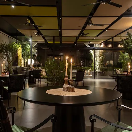 Savoy & - Preferred &