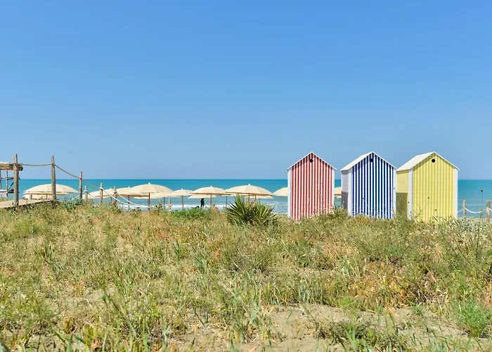 Savoy & - Preferred & 5*