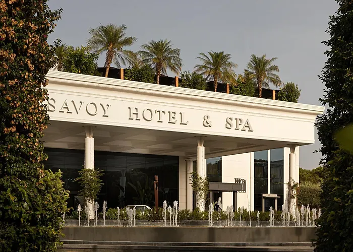 Savoy & - Preferred &