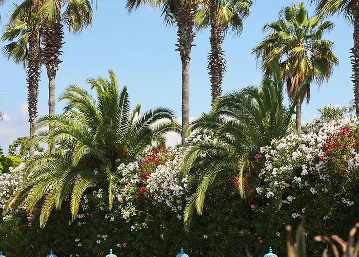 Savoy & - Preferred & Paestum