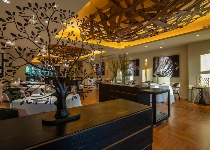 Savoy & - Preferred &